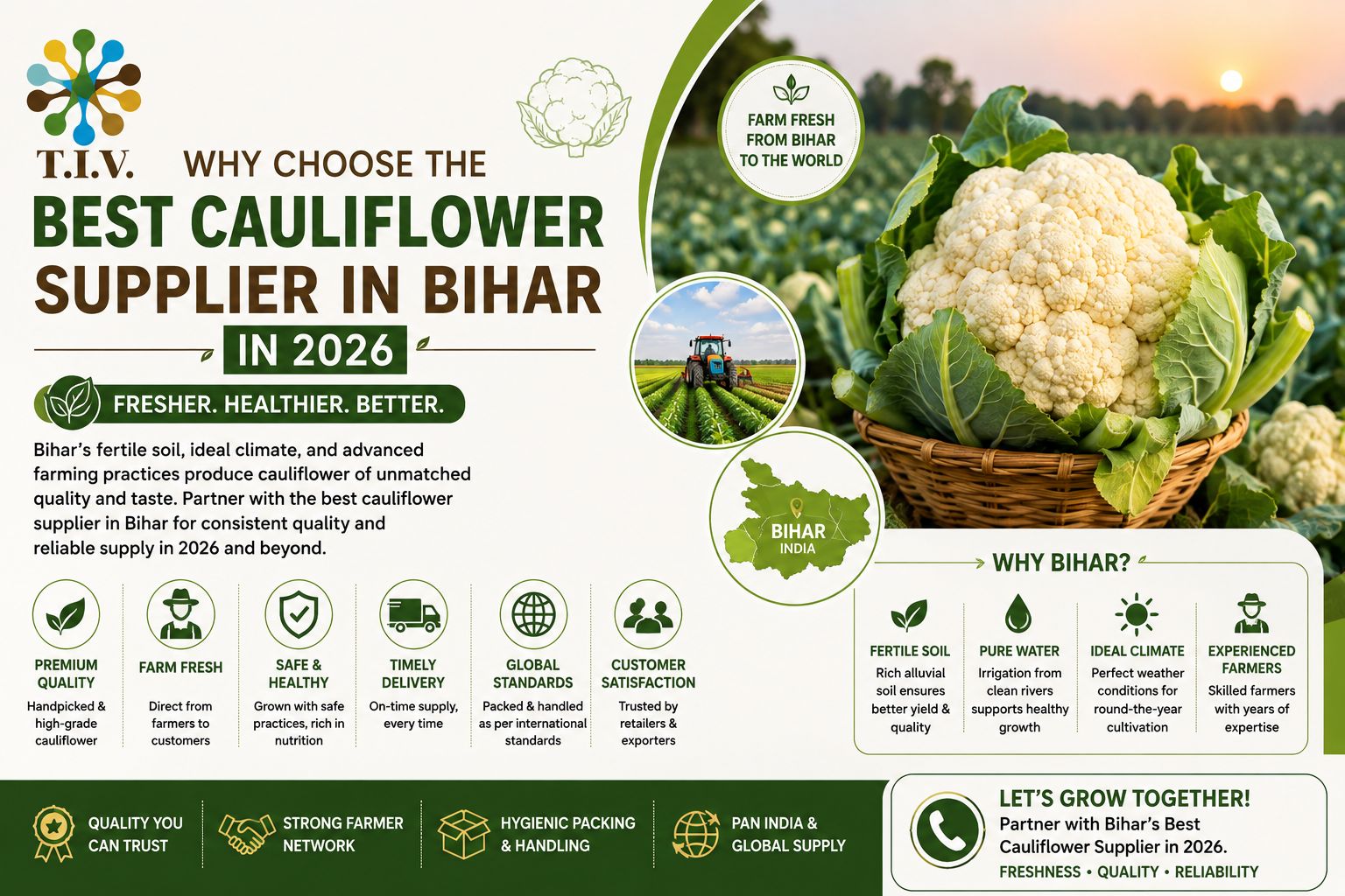 Why Choose the Best Cauliflower Supplier in Bihar in 2026