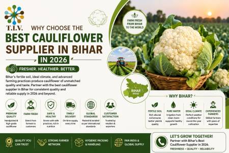  Why Choose the Best Cauliflower Supplier in Bihar in 2026