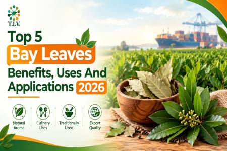 Top 5 Bay Leaves Benefits Uses And Applications 2026