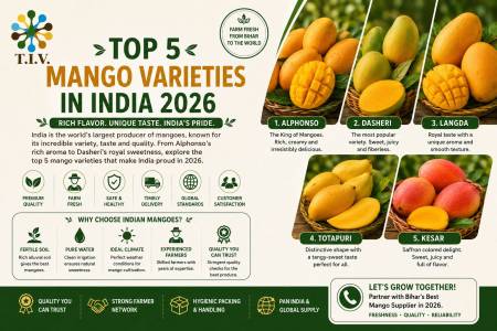 Top 5 Mango Varieties in India 2026