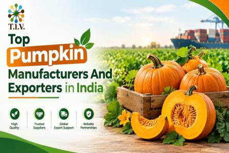 Top Pumpkin Manufacturers And Exporters in India
