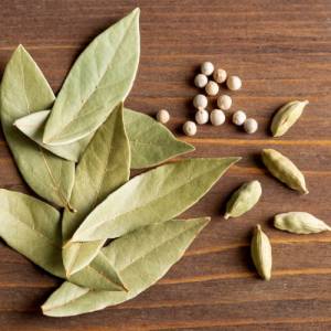 Bay Leaf Suppliers in Patna