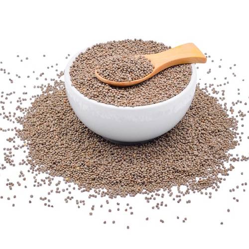 Carom Seeds Suppliers in Patna Carom Seeds Suppliers in Patna