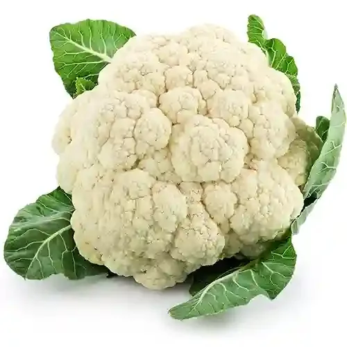 Cauliflower Suppliers in Patna Cauliflower Suppliers in Patna