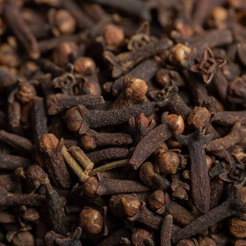 Clove Suppliers in Patna Clove Suppliers in Patna