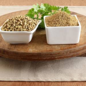 Coriander Suppliers in Patna