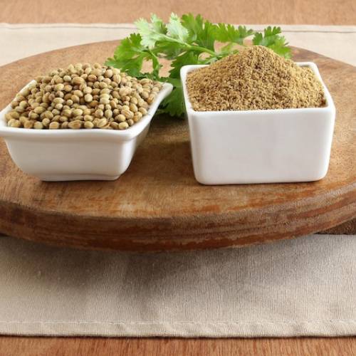 Coriander Suppliers in Patna Coriander Suppliers in Patna