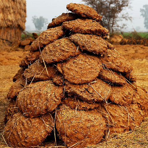 Cow Dung Suppliers in Patna Cow Dung Suppliers in Patna