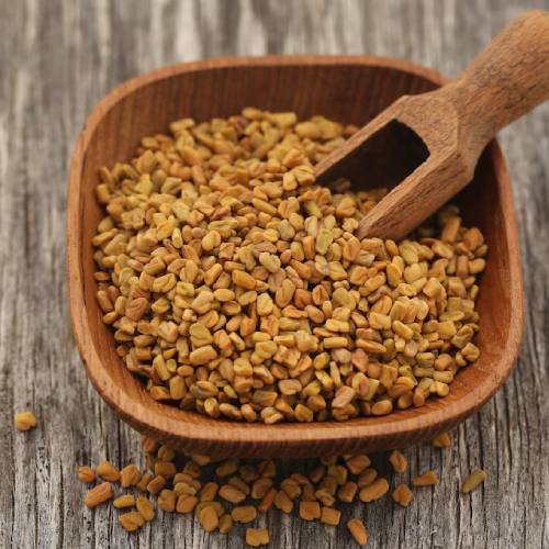 Fenugreek Seeds Suppliers in Patna Fenugreek Seeds Suppliers in Patna