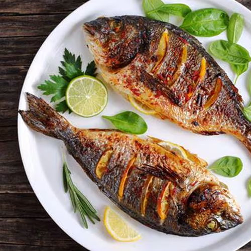 Fish Suppliers in Patna Fish Suppliers in Patna