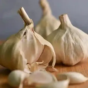 Garlic Suppliers in Patna