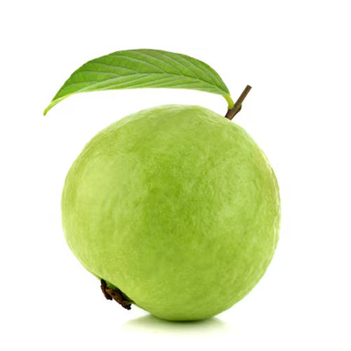 Guava Suppliers in Patna Guava Suppliers in Patna