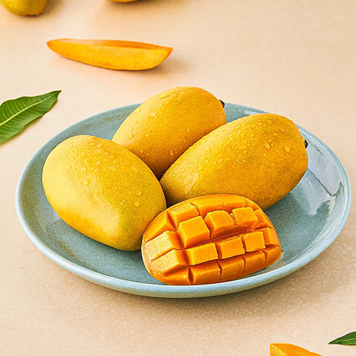 Mango Suppliers in Patna Mango Suppliers in Patna