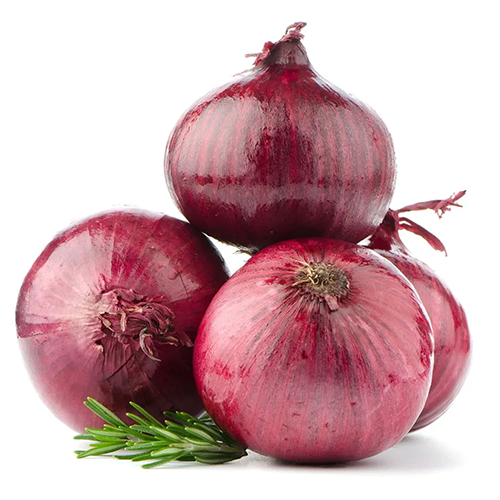 Onion Suppliers in Patna Onion Suppliers in Patna