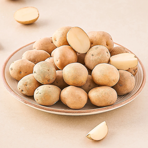 Potato Suppliers in Patna Potato Suppliers in Patna