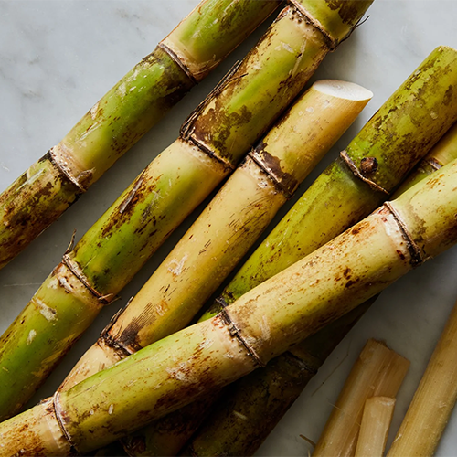 Sugarcane Suppliers in Patna Sugarcane Suppliers in Patna