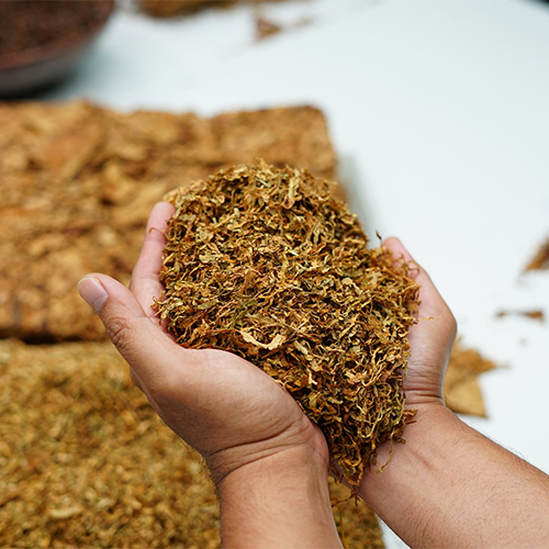 Unmanufactured Tobacco Suppliers in Patna Unmanufactured Tobacco Suppliers in Patna